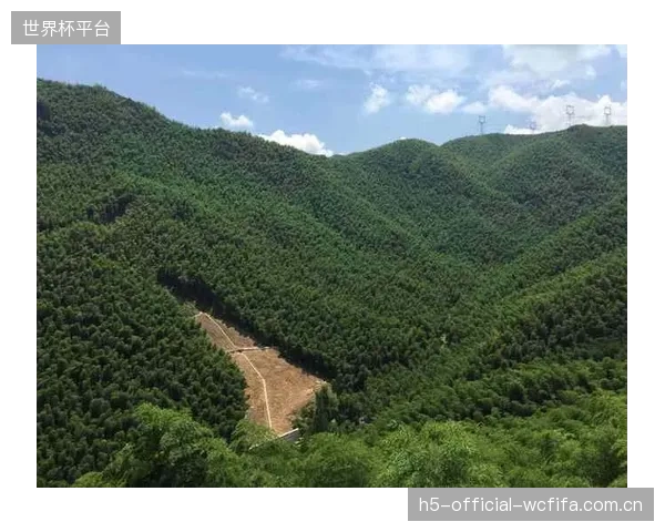 浙江安吉竹海徒步线路运用消费者画像引擎,细分市场需求以规避产品同质化 浙江安吉竹海徒步线路运用消费者画像引擎,细分市场需求以规避产品同质化